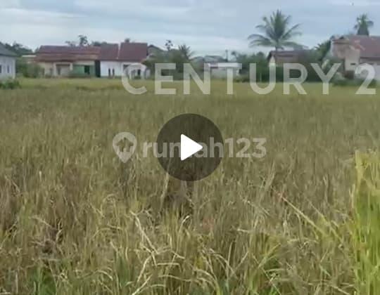 Tanah Kosong Ukuran 10 X 20 Gg. Wanara Sakti Kubu Raya