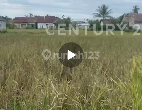 Tanah Kosong Ukuran 10 X 20 Gg. Wanara Sakti Kubu Raya