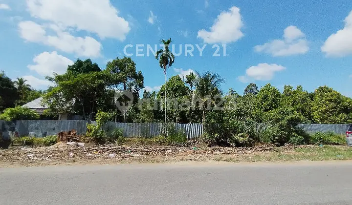 Tanah Tepi Jalan Pramuka Sudah Bonus Kebun Buah Buahan Produktif