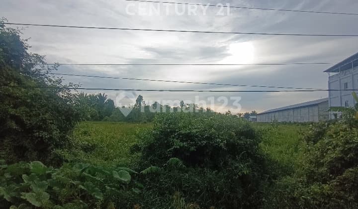 Tanah Strategis Cocok Untuk Showroom, Hotel, Kantor Dan Usaha