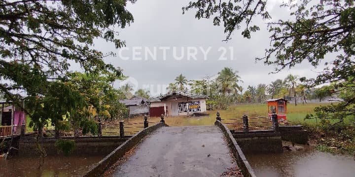 Tanah Tepi Jalan Cocok untuk Usaha dan Gudang Lokasi Jl. Pramuka