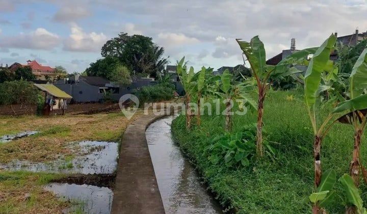 Disewakan Tanah 10.7 Are Shm Di.padonan