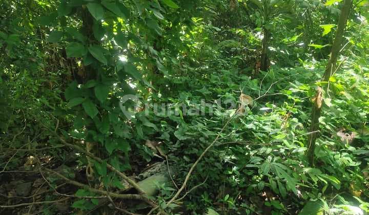 Disewakan Tanah 8 Are Shm Di Kaba-kaba..