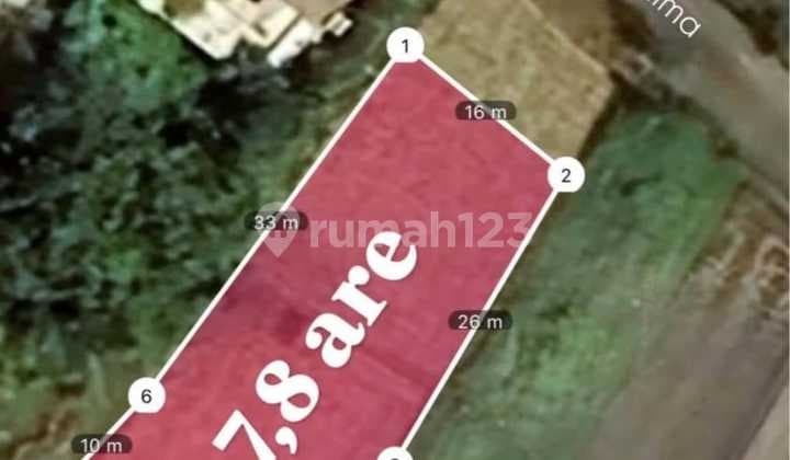 Disewakan Tanah 7.8 Are SHM di Pererenan.