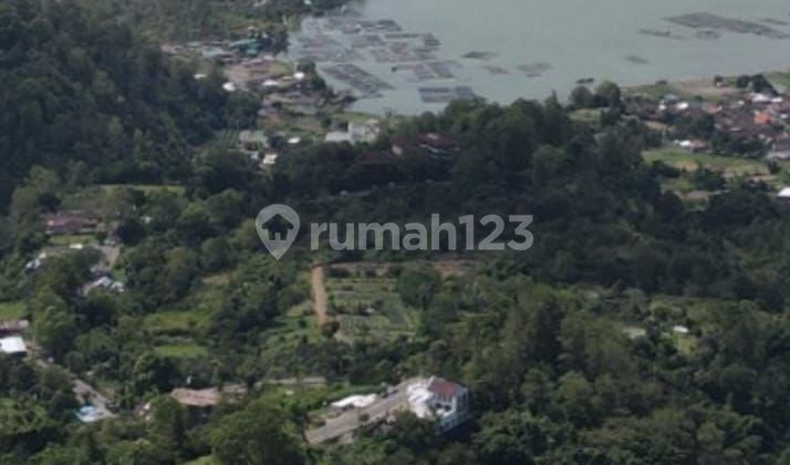 Dijual Tanah 10 Hektar Shm Di Kintamani.