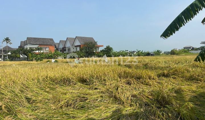 Land for Rent 29 Are SHM in Cemagi....