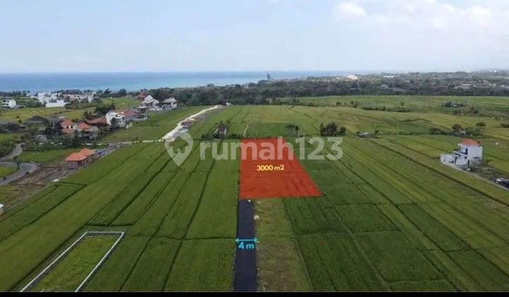 Dijual Tanah 15 Are SHM di Cemagi Beach