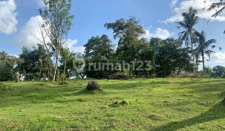 Dijual Tanah 11220 M2 di Selemadeg Barat.