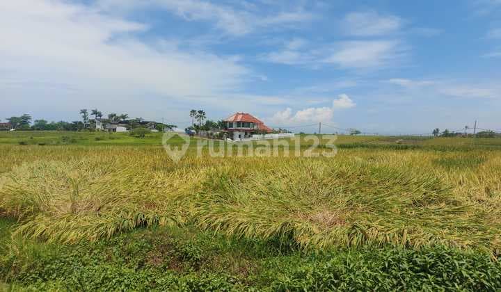 Dijual Tanah 40 Are SHM di Beraban - Beach