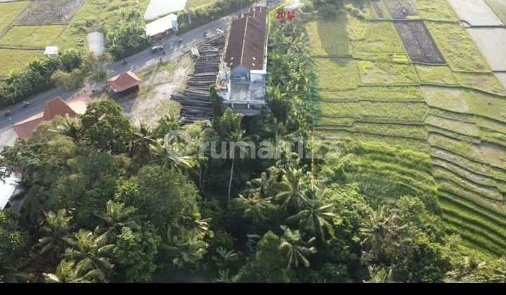 Disewakan Tanah20 Are Main Road Munggu- Tanah Lot.