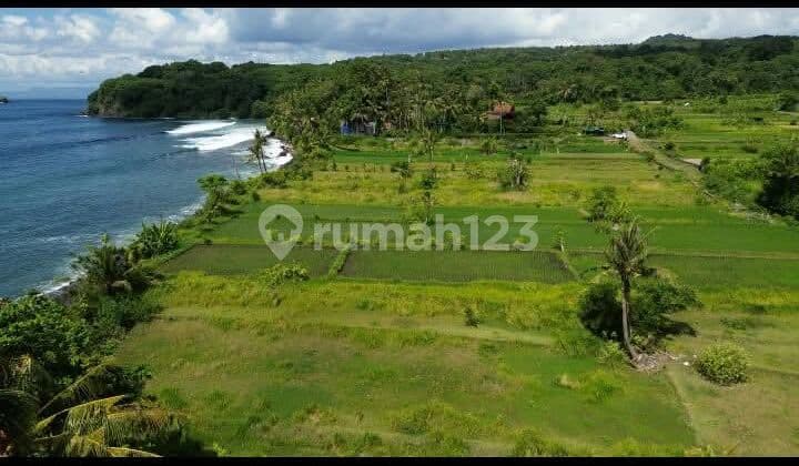 Sold 2 Hectares of Virgin Beachfront Land