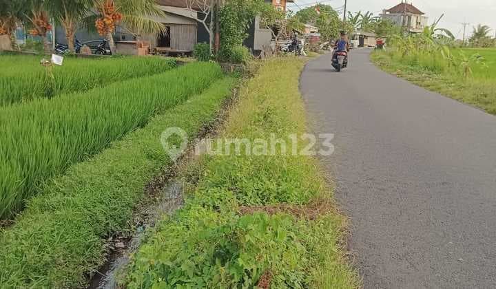 Land by the Main Road Kaba2 29 Are Yellow Zone