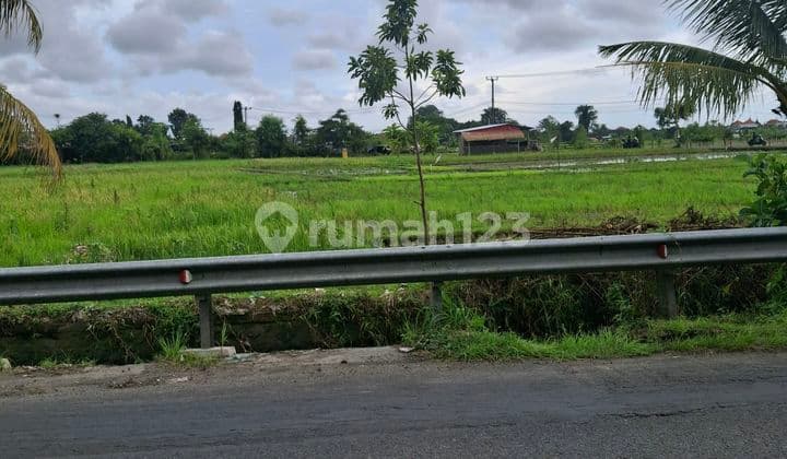 Disewakan Tanah 13 Are SHM di Jalan Utama Munggu-Kapal