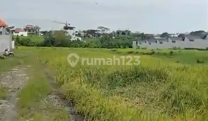Disewakan Tanah di Seseh SHM 6 Are......