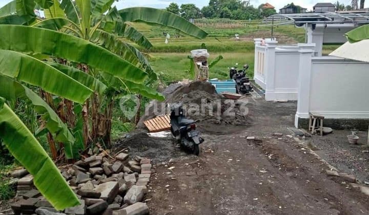 For Rent 1.5 Are Land with SHM in Cepaka - Dalung