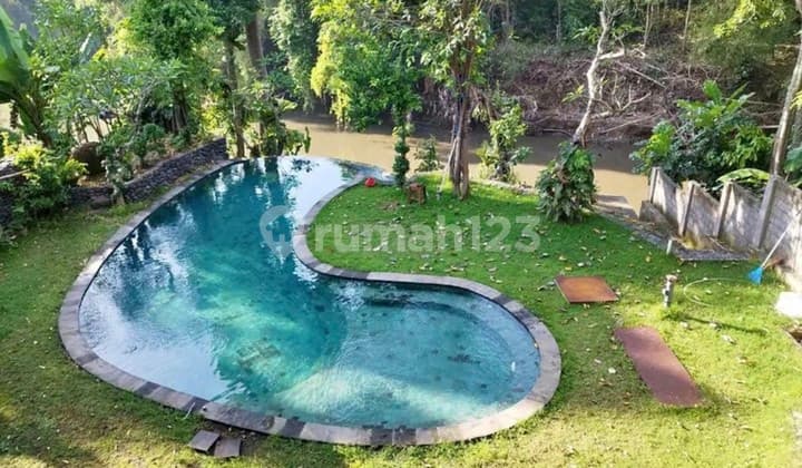 For Rent Land 15 Are SHM Los Sungai ...