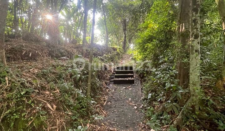 Disewakan Tanah 15 Are SHM di Kaba-Kaba