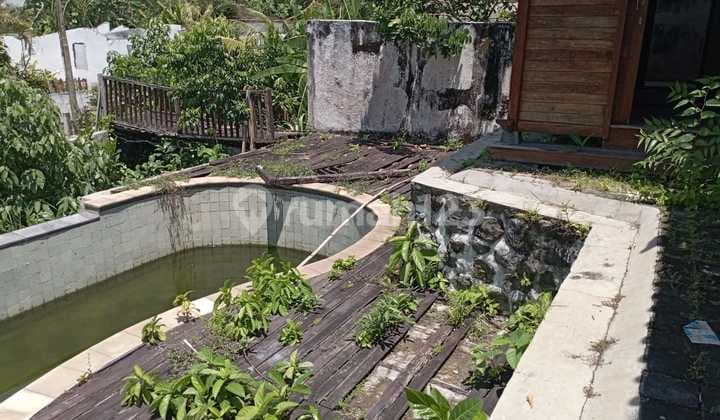 Dijual Tanah 11 Are Shm Di Kerobokan -pengubengan