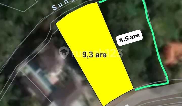 Land for Sale 17 Are SHM at Munggu Green Lot
