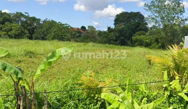 Disewakan Tanah 30 Are SHM di Kaba Kaba.