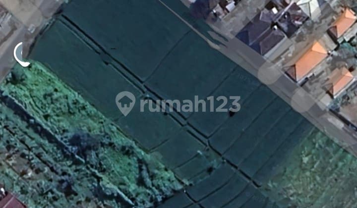 Lease Land 9.5 Are SHM in Padonan - Canggu