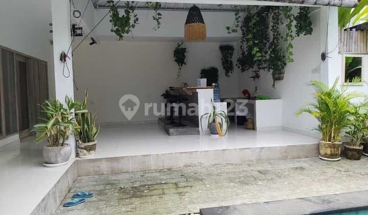 Disewakan Rumah 2 Room di Padonan - Canggu