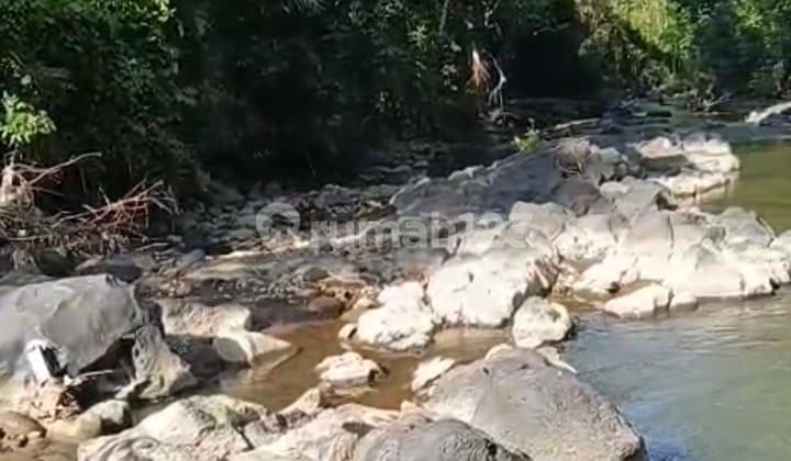 Dijual Tanah 50 Are Shm Di Buwit - Kaba Kaba