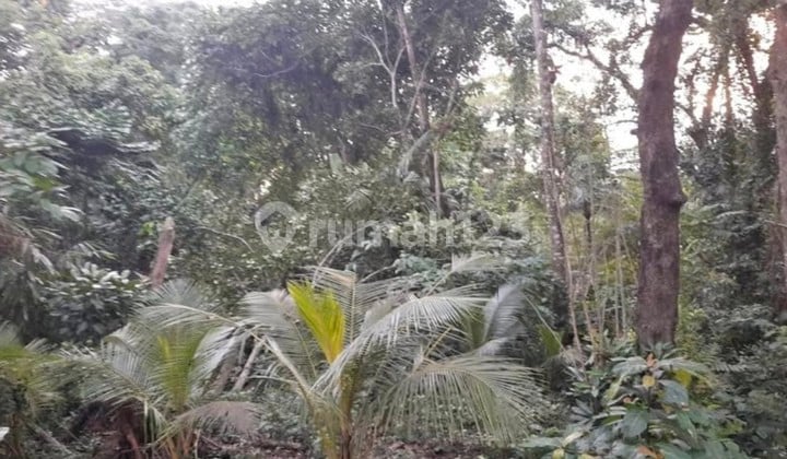 Land for Rent 8.8 Are SHM in Kaba-Kaba.