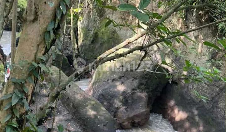 Disewakan Tanah 33 Are Shm Di Kaba-kaba.....