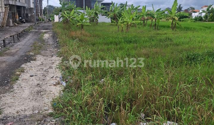 Disewakan Tanah 15 Are SHM di Pererenan.