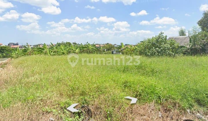 Disewakan Tanah 19 Are Shm Di Canggu - Abasan