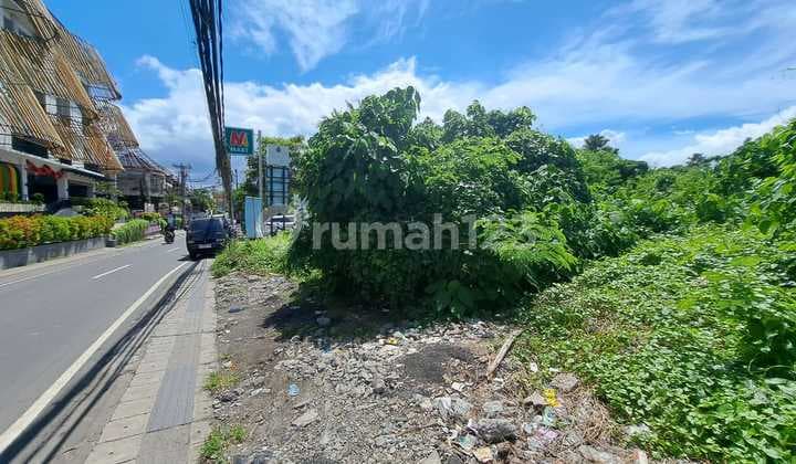Disewakan Tanah 24 Are SHM di Canggu - Berawa