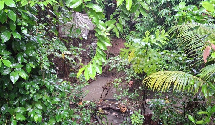 Tanah 6 Are Di Jln Tibuan Buduk, Canggu Shm