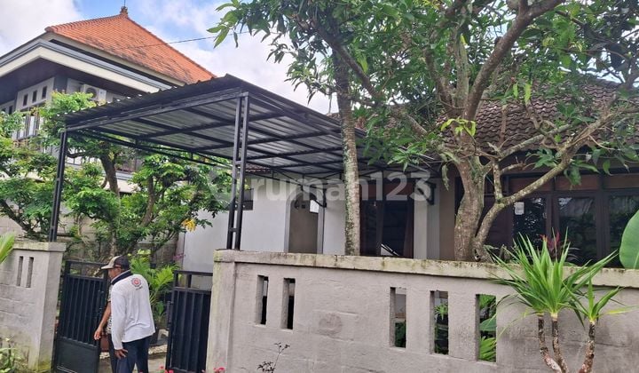 Disewakan Rumah 1.5 Are Shm Di Cepaka - Selingsing