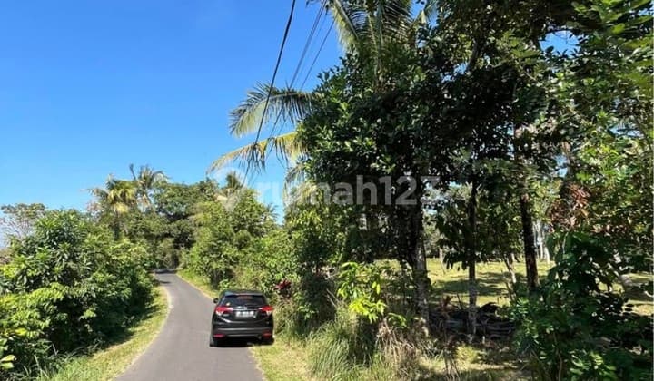 Dijual Tanah 11220 M2 SHM di Selemad Barat.