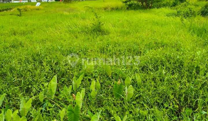 Dijual Tanah 10 Are SHM Dekat Pantai Cemagi