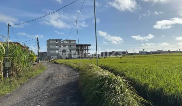 Disewakan Tanah 34 Are SHM di Seseh Pink Zone