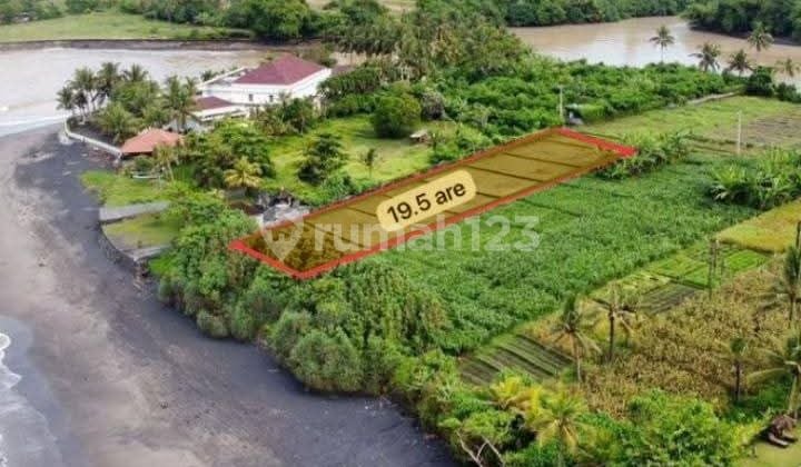 For Rent 19 Are Land with SHM Certificate in Pasut - Beach.