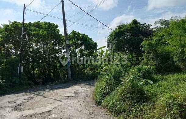 For Rent 25 Are Land with SHM in Cepaka.....