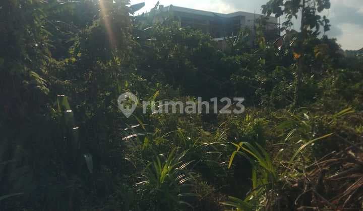 Land for Rent 12 Are SHM in Padonan-Canggu