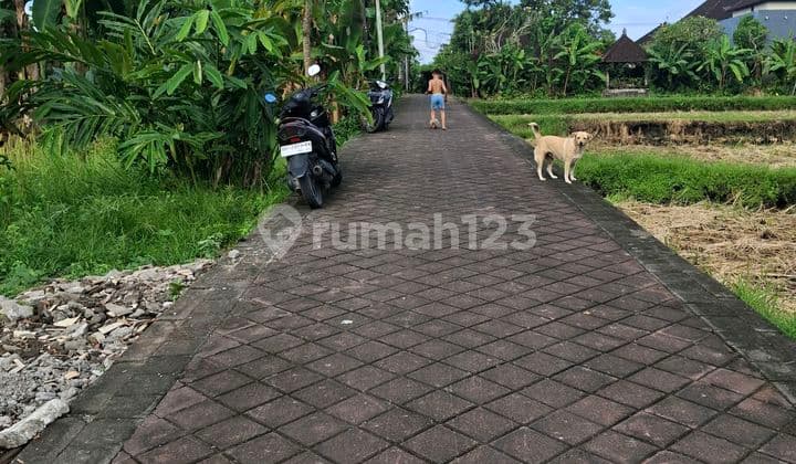 For Rent 30 Are SHM in Buduk Villa Area.