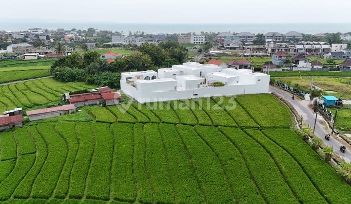 Disewakan Tanah 16 Are SHM di Pererenan ...