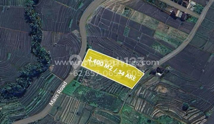 Disewakan Tanah 34 Are SHM Kaba-Kaba Main Road