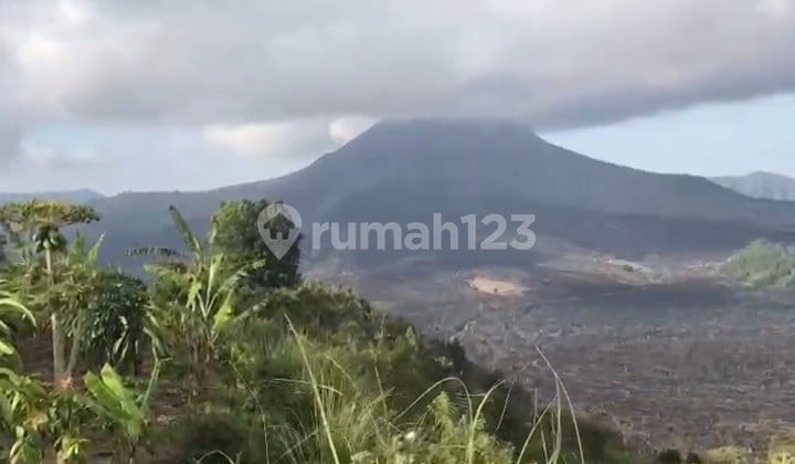 Land for Sale 55 Are with SHM in Kintamani....