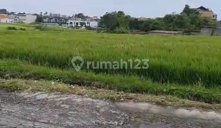 Disewakan Tanah 10 Are SHM di Pererenan .