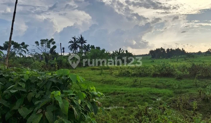 Land for Rent, 20 Are with SHM in Munggu - Seseh