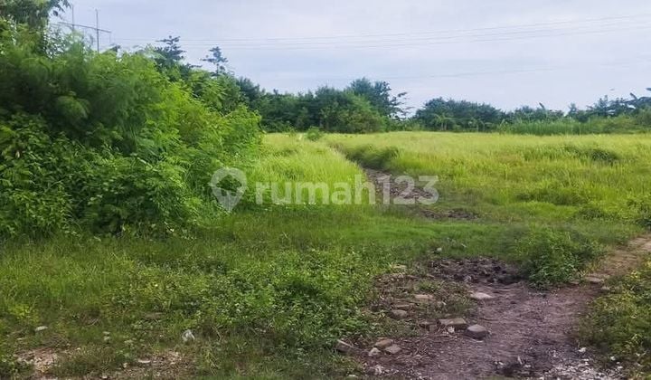 Disewakan Tanah 2 Ha Shm Los Pantai Ketewel