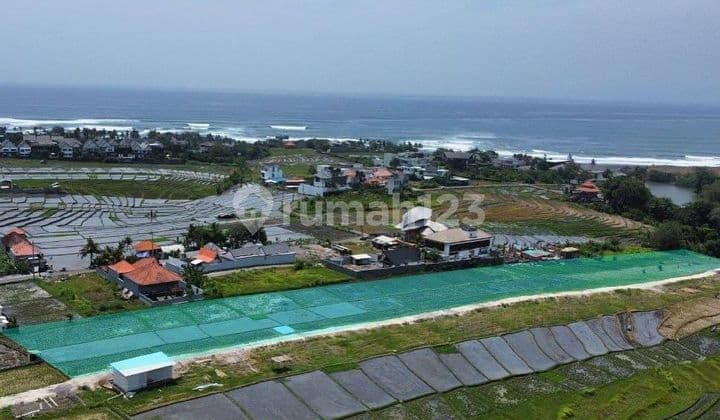 Disewakan Tanah 10 Are SHM di Cemagi....