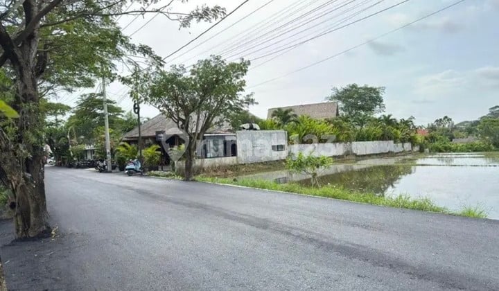 For Lease: 20 Are Land, Freehold Title (SHM) in Seseh.