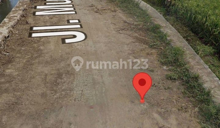 Rent Land 34 Are Freehold Title in Cemagi.....
